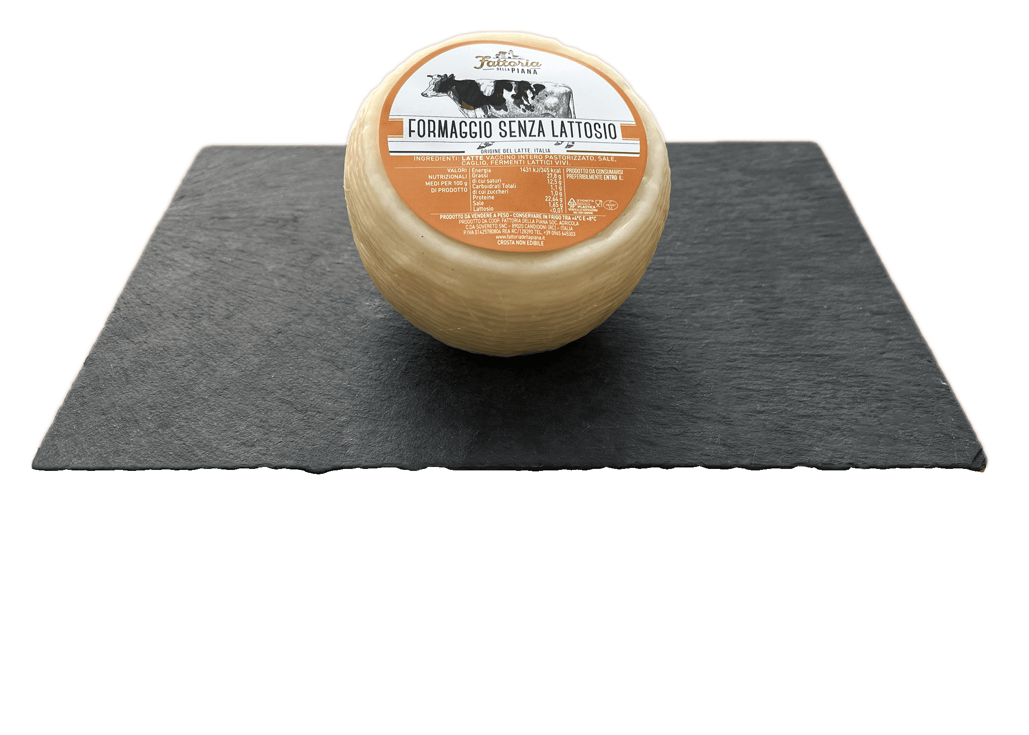 Formaggio senza Lattosio